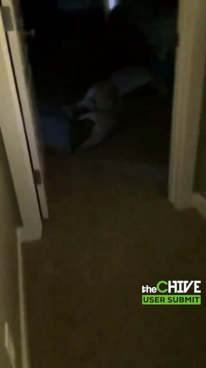 BUSTED 