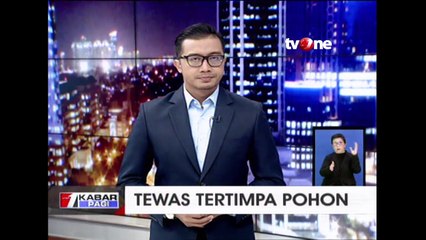 Tewas Tertimpa Pohon