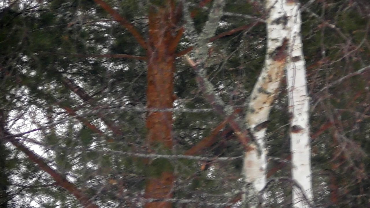 March 24 2018 DL2