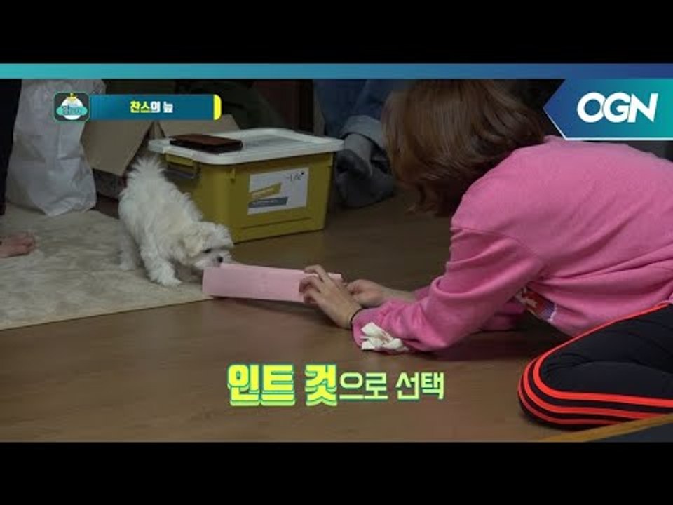 왕깨기보다 더 어려운 찬스 뽑기, 손에 저주걸린 권이슬?  - 켠김에왕까지 2018 1화