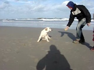 Lisa Simpson Del Atrapasuenos