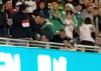 Crowd Trouble at Soccer Game in California Sees Fan Almost Thrown From Upper Tier