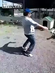 Bully a dog, instant karma