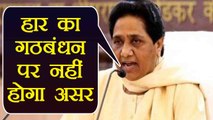 Mayawati ने Rajya Sabha में हार के बावजूद कहा, नहीं टूटेगा Akhilesh Yadav से गठबंधन । वनइंडिया हिंदी