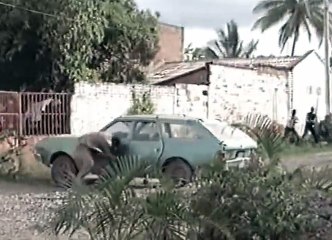 Mercenary II Thick   Thin  1999   - Part 03