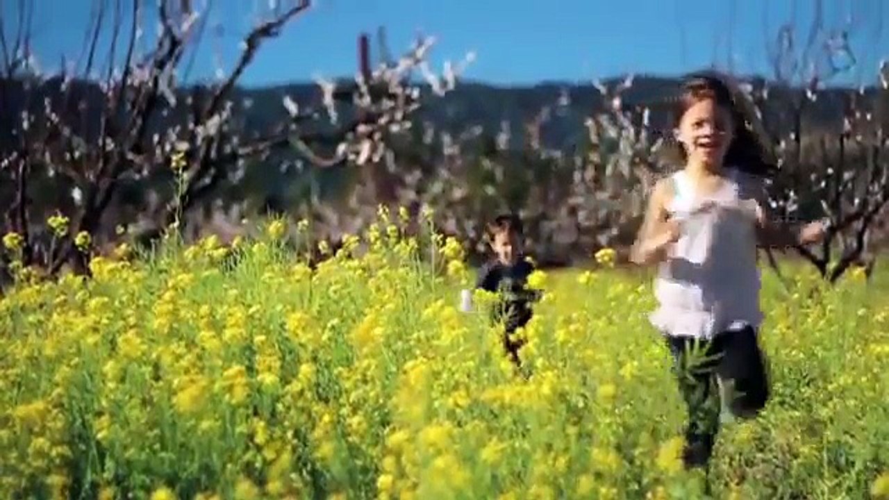 Angelique International Limited News | Angelique International Review