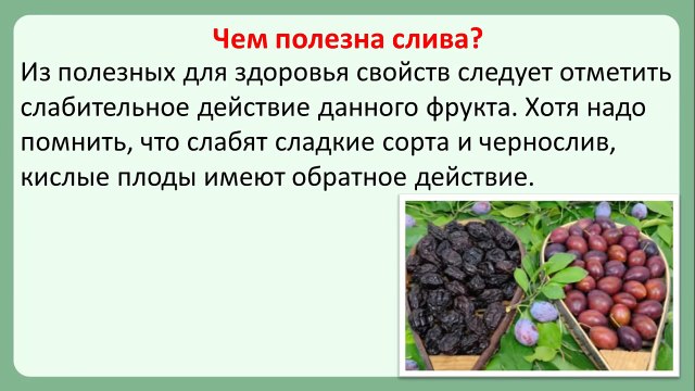 Можно ли сливы и чернослив больным сахарным диабетом?