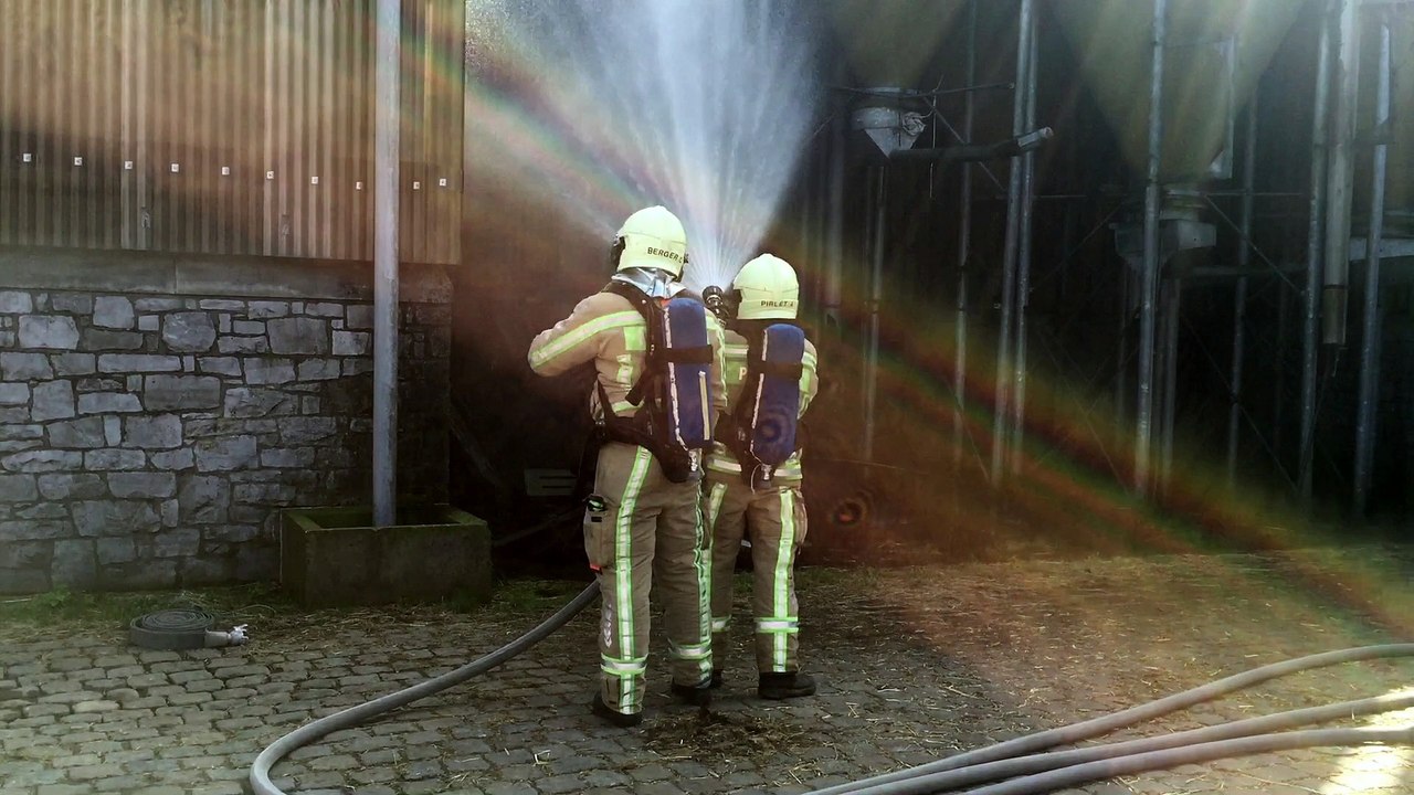 Exercice incendie formation pompier vétérinaire - Liège