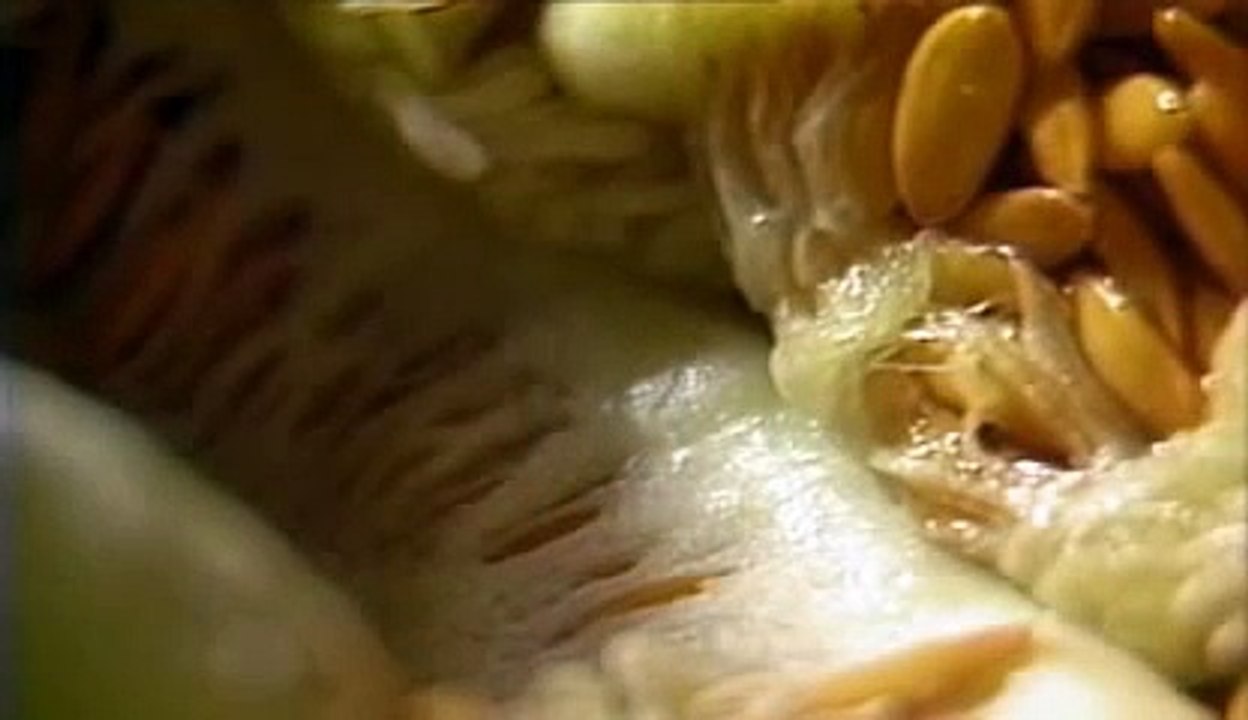 Bill Viola - Anthem (1983).avi