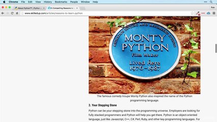 284 Why Learn Python in 2024 🐍