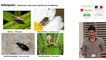 Rencontre "Toitures végétalisées et biodiversité" - Audrey MURATET, Maxime ZUCCA, Hemminki JOHAN, Marc BARRA (ARB îdF)