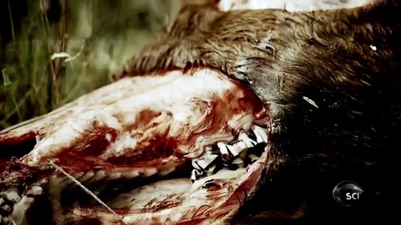 Η 37η παράλληλος είναι η "λεωφόρος" των UFO??!!!Έρευνα δεκαετιών έφερε εκπληκτικές ανακαλύψεις στο "φως" για το πως κινούνται κάτω από τη μύτη μας!!!