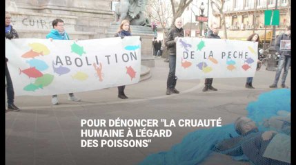 Des militants Vegan Impact s'entravent dans des filets de pêche à Paris