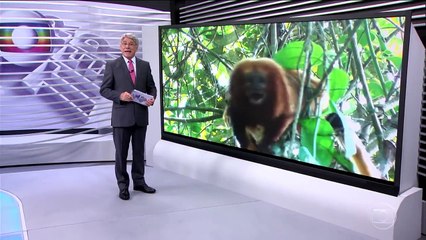 Globo Repórter – Costa do Sol, 23/03/2018