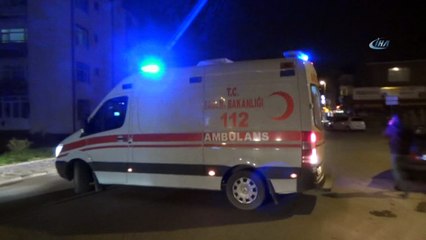 Kontrolden çıkan kamyonet, park halindeki tıra çarptı: 1 yaralı