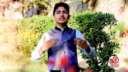 Ali A.S Aa Rahe Hain | Minhaj Zaidi New 13 Rajab Manqabat 2018-19 HD