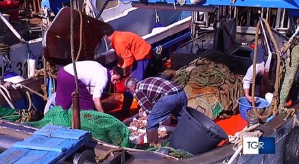 Puglia: starup coltiva alga spirulina