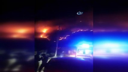 Giresun’da orman yangını