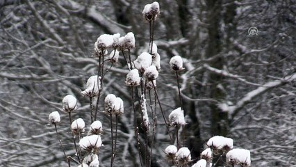 Kar yağışı - KIRKLARELİ