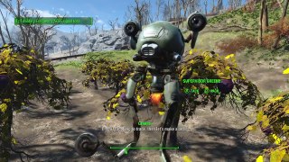 Fallout 4 - 5 Unique Interions