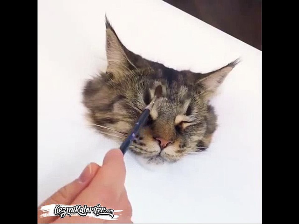 Aşırı Gerçekçi Kedi Çizimi