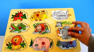 Learn Animals,Numbers counting and ABC letters Puzzle Fun preschool children learning -Kid Z Fun