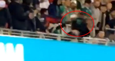 Meksika-İzlanda Maçında Bir Kişi, Kavga Ettiği Taraftarı Aşağıya Atmaya Çalıştı
