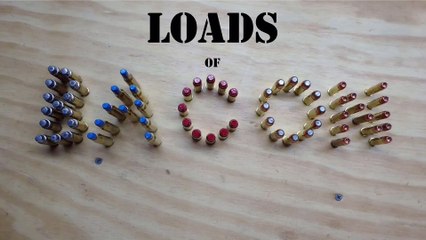 .44 Magnum Snubby - S&W 629 TALO Deluxe 3"