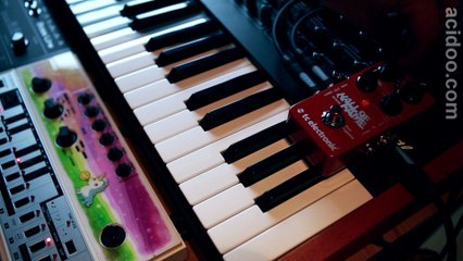 TC Electronic Hall Of Fame - RE-303