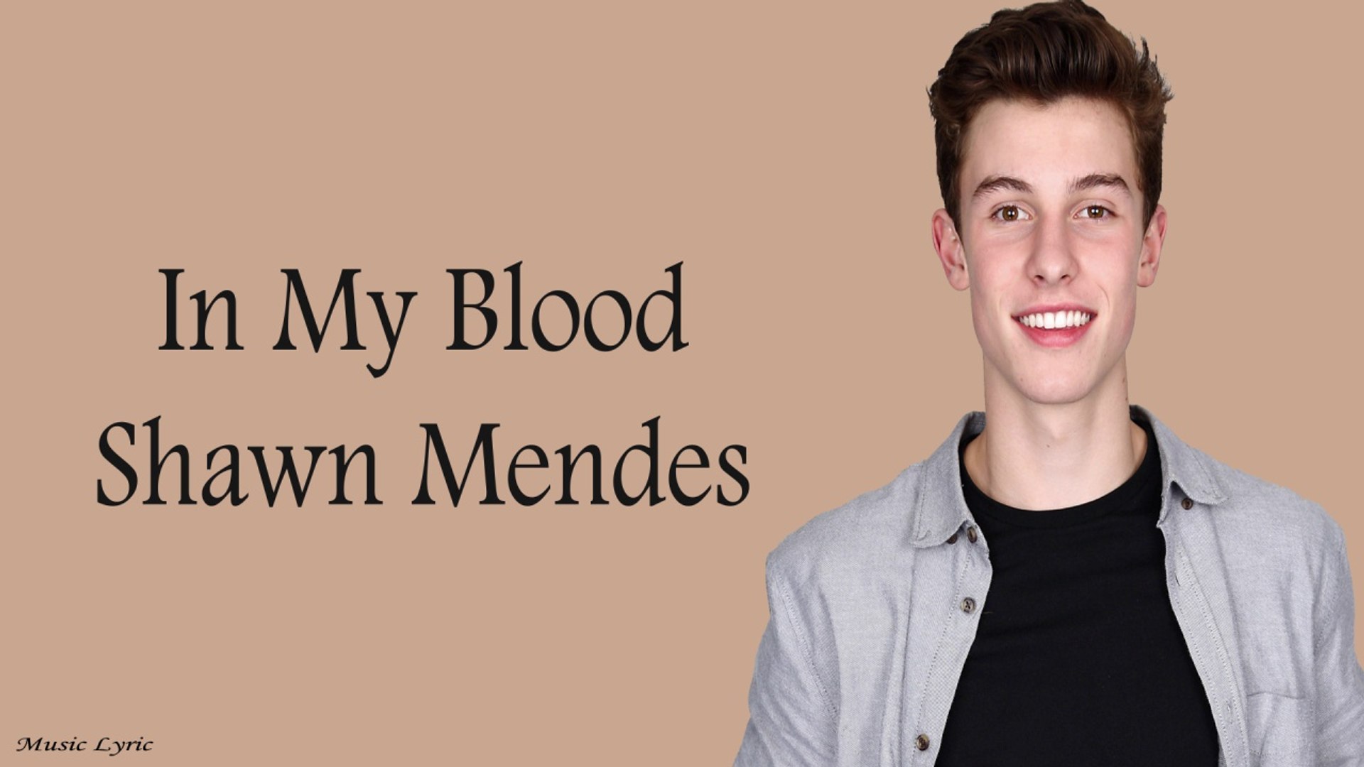 Shawn Mendes In My Blood Lyric Video Dailymotion