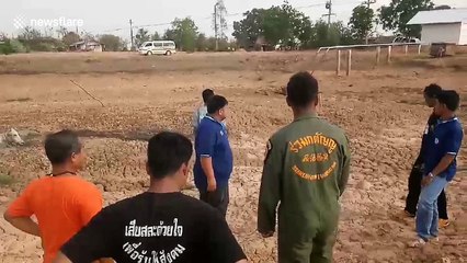 Cow rescued after getting stuck in mud