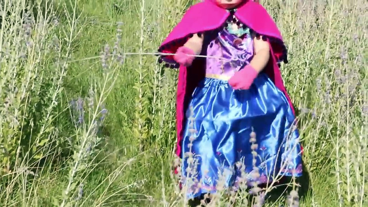 Princess Anna Cape DIY