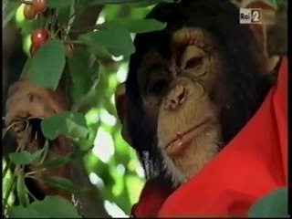 Il nostro amico Charly 16x13 - Il giubbotto