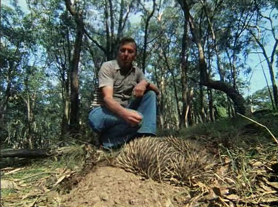 David Attenborough - Élet A Földön 09 - Emlősök...