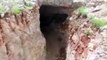 Afrin'de teröristlerin kazdığı dev mağara görüntülendi