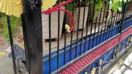 பெற்ற தாயிடம் சொல்லாமல் வெளிநாட்டில் இருந்து வந்து இன்பதிர்ச்சி கொடுத்த மகன்! வீடியோ