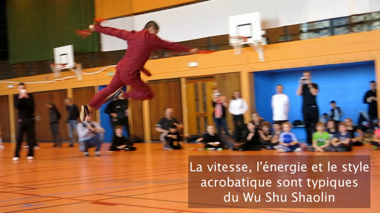 Démonstration de Kung Fu à l'épée et aux doubles lances par Wang LingSheng, ancien moine de Shaolin