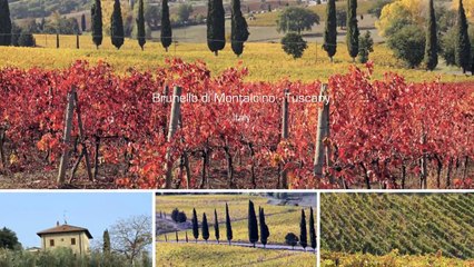 Brunello di Montalcino - Tuscany - Italy