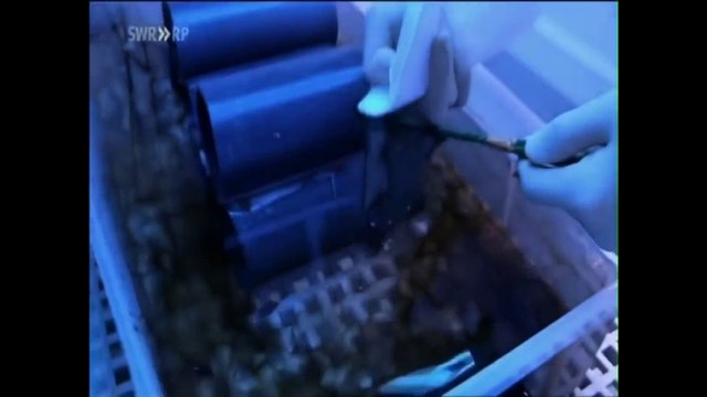 Nuclear Waste disposal - Dumping The disposal of nuclear waste into the world’s oceans