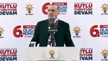 Cumhurbaşkanı Erdoğan: 'Sınırlarımız boyunca yığılan terör örgütlerinin üzerine sonuna kadar gideceğiz' - TRABZON