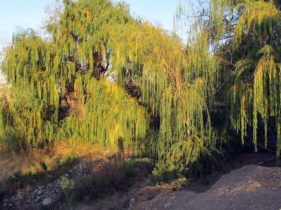 Ingrid Herrera: Du hast mich nie losgelassen