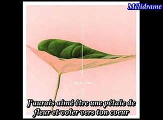 ( vostfr) HyoJung (OH MY GIRL)  - SARR