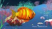 Machli jal ki rani hai  - Fish 3D Animation Hindi Nursery rhymes for children ( Hindi Poem ) ( 720 X 1280 )