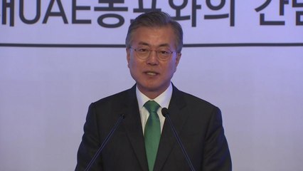 문 대통령 "한·UAE, 100년 내다보는 진정한 형제국가 될 것" / YTN