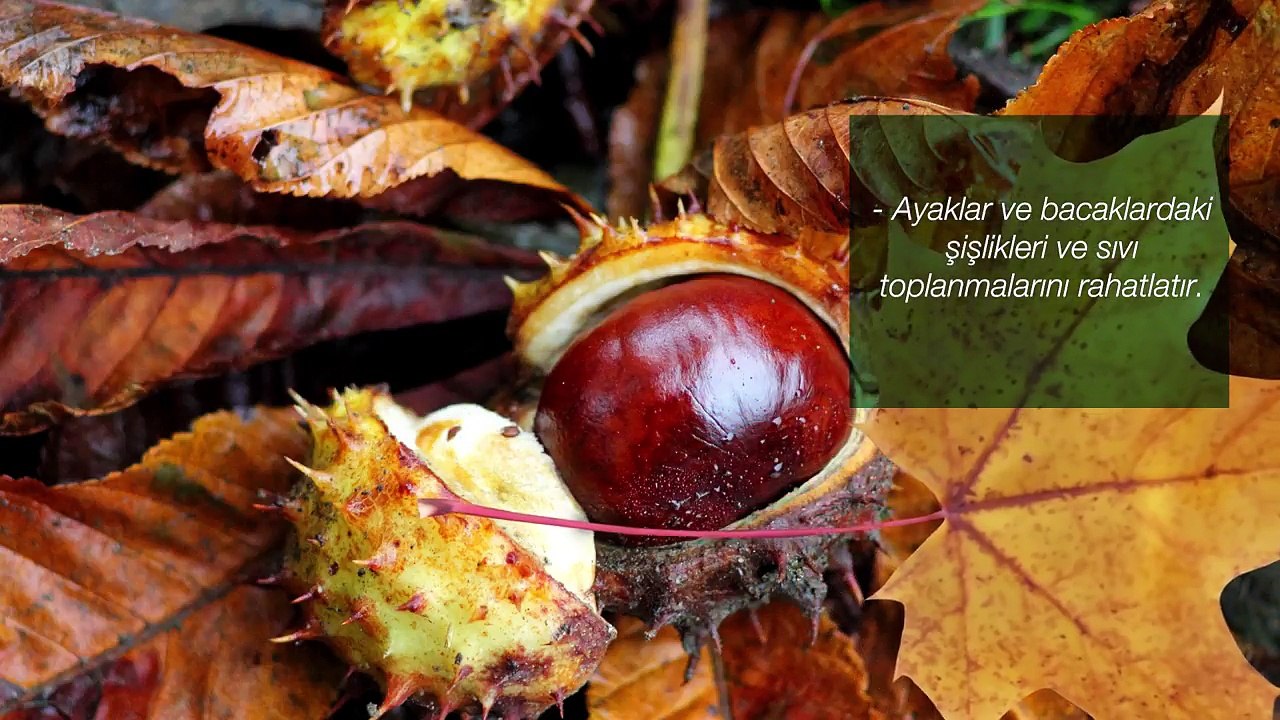 farmasi-dr.-cevdet-tuna-masaj-jelleri-serisi--at-kestanesi-masaj-jeli