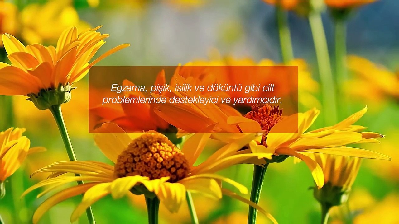 farmasi-dr.-cevdet-tuna-aynisefa-serisi