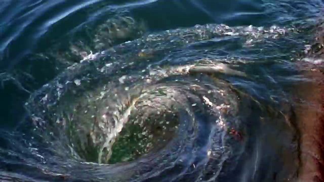 Ce plongeur nage dans un tourbillon