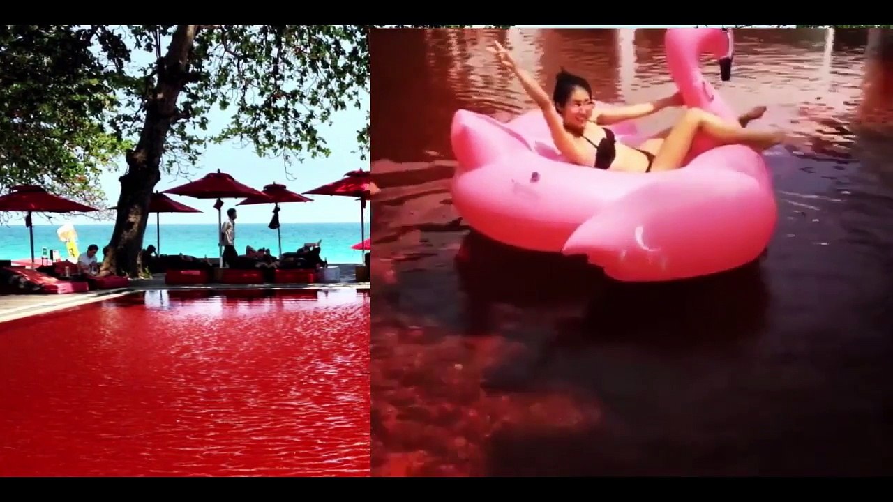 8 Самых Безумных Бассейнов в Мире