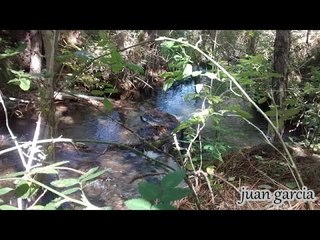naturaleza,agua y musica relajante -nature water and relaxing music-