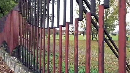 A este caballo le encantan las hojas caídas del otoño